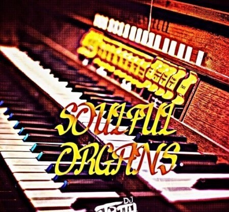 DJ 1Truth Soulful Organs WAV